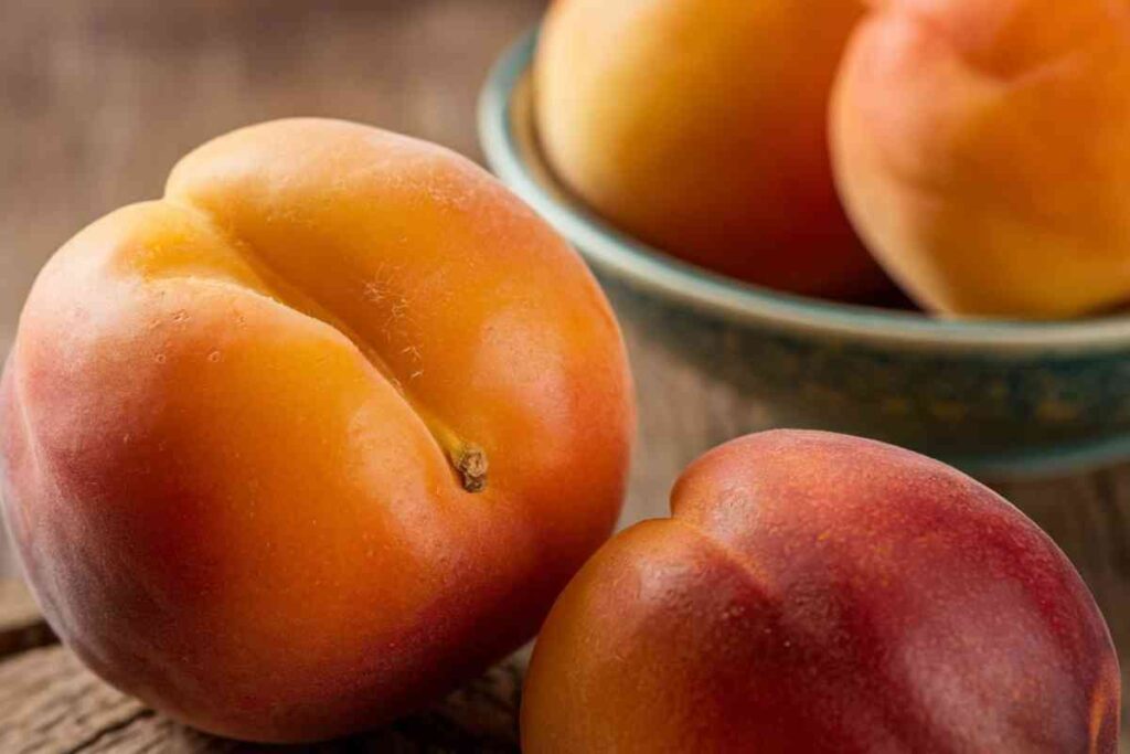 Apricot Nectarine